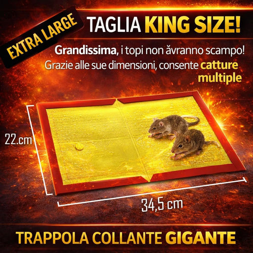 🐭 TOSLUC – TRAPPOLE ADESIVE EXTRA LARGE PER TOPI – CONFEZIONI DA 2/5/8 PEZZI