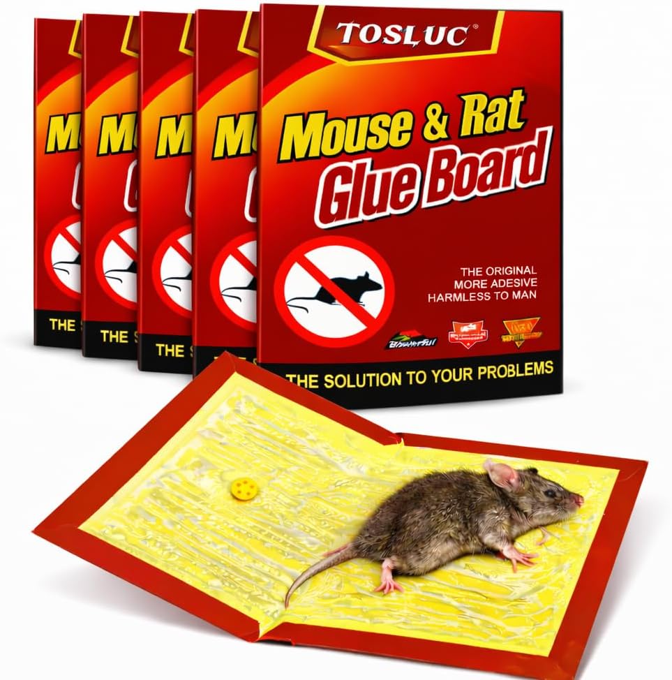 🐭 TOSLUC – TRAPPOLE ADESIVE EXTRA LARGE PER TOPI – CONFEZIONI DA 2/5/8 PEZZI