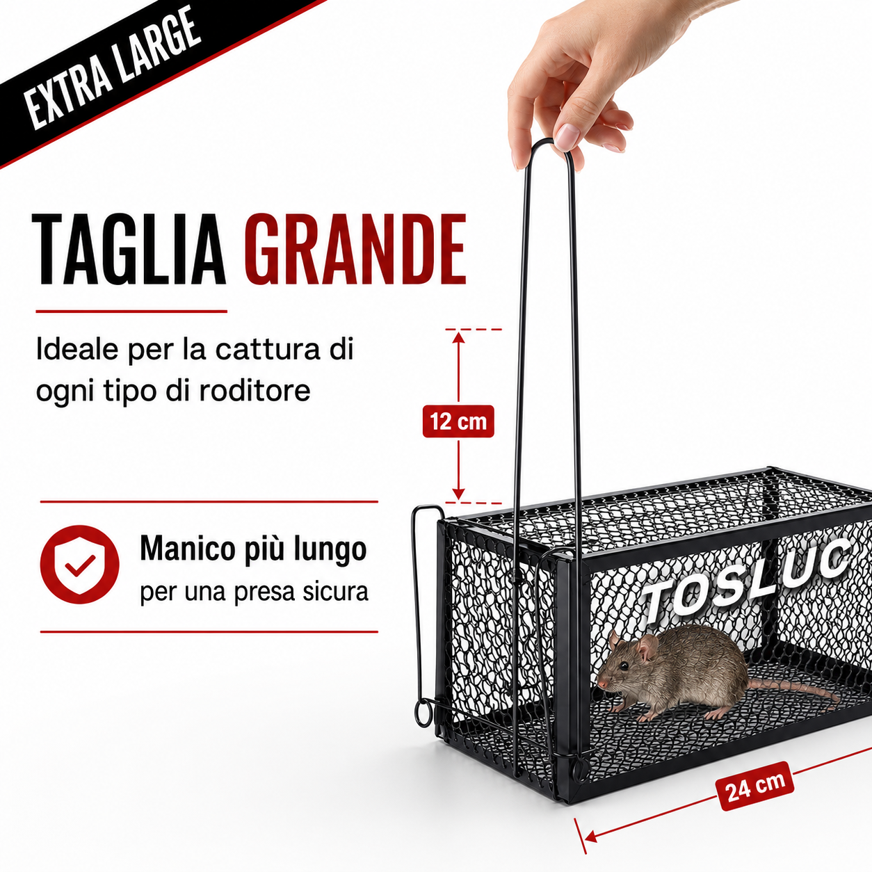 🍦GABBIA CON ESCA AROMATIZZATA ALLA VANIGLIA INCLUSA